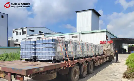 What Buyers Look for in Biostimulant Raw Materials